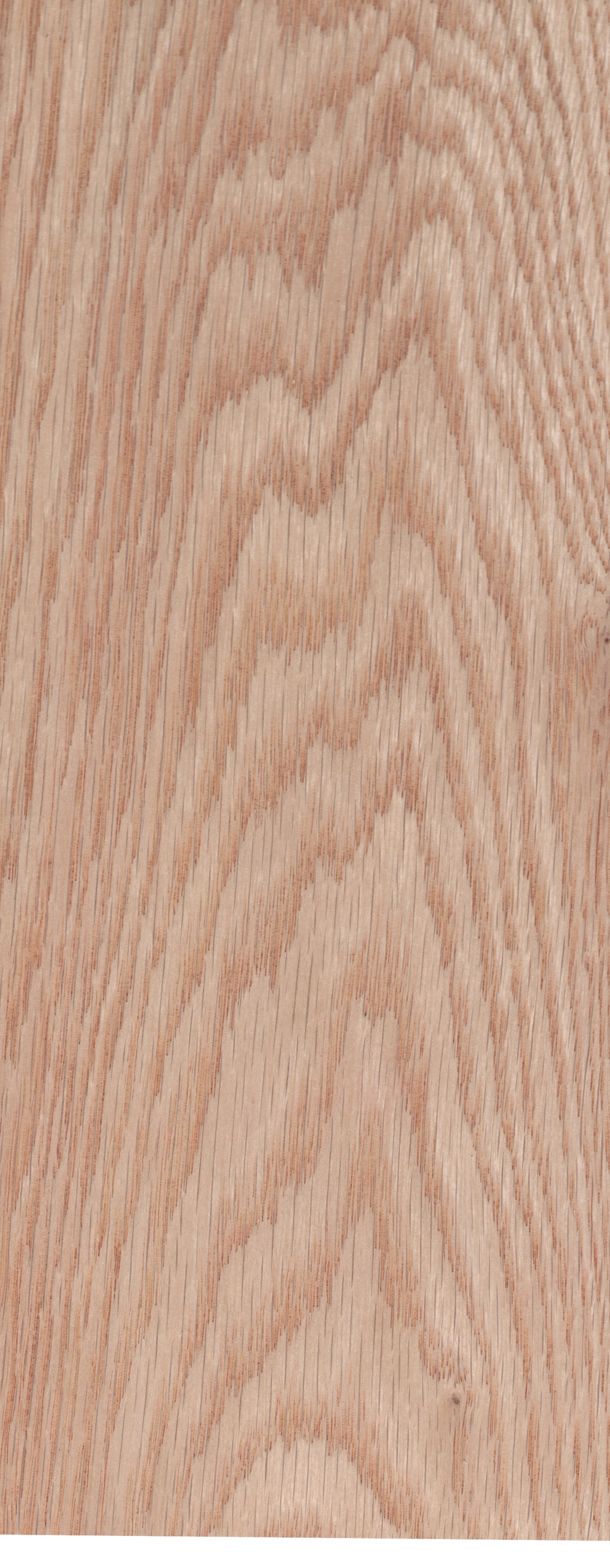 Material 5